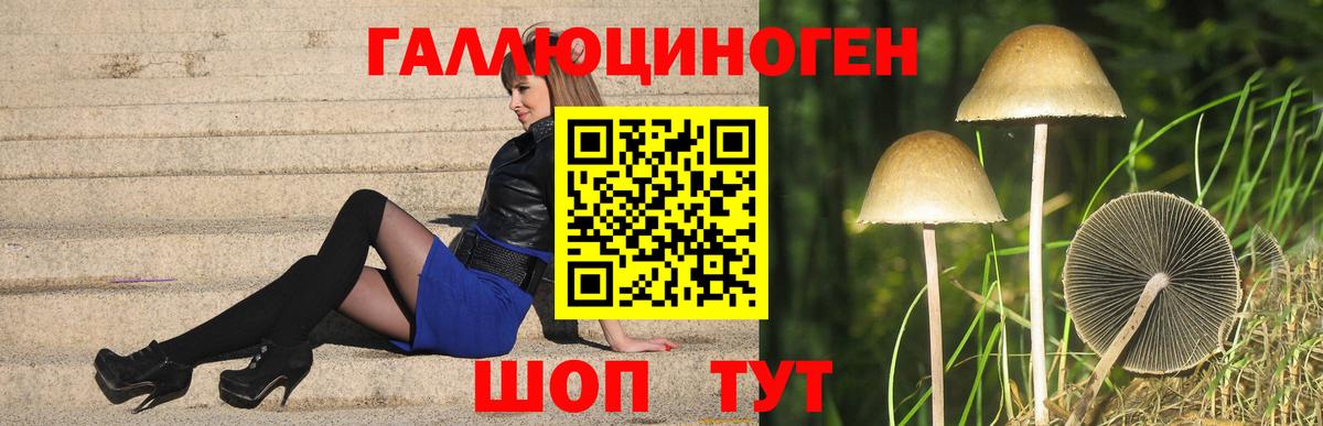 Абинск  Псилоцибиновые грибы мухоморы  Вход с VPN 
