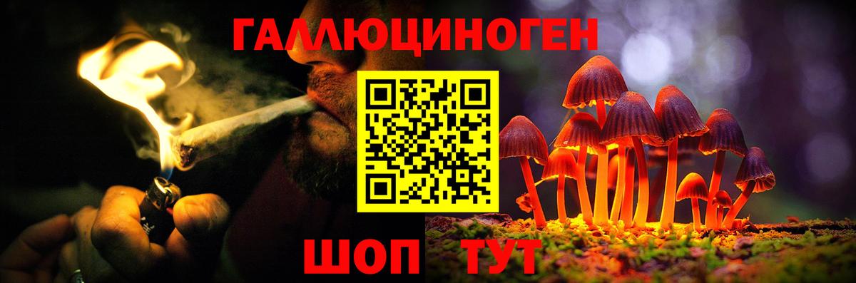 Псилоцибиновые грибы Psilocybine cubensis Абинск